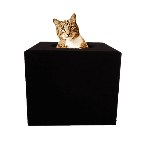 caja-gato