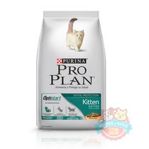 pro-plan-kitten