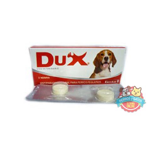 Dux-perros-pequeños
