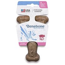 benebone-small-puppy-wishbone-bacon-tocino-1-perrosygatosonline