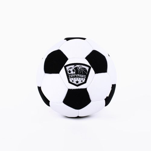 sports-ballz-futbol-1-perrosygatosonline