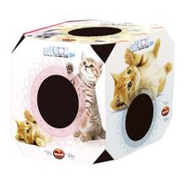 Cat-Box-Filhote-Furacao-Pet