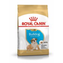 pu-bulldog-packshot-bhn18-med-res-basic